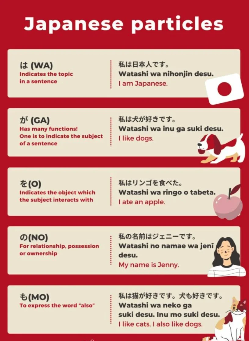 apanese Particles Explained: は vs が, に vs で (With Examples)